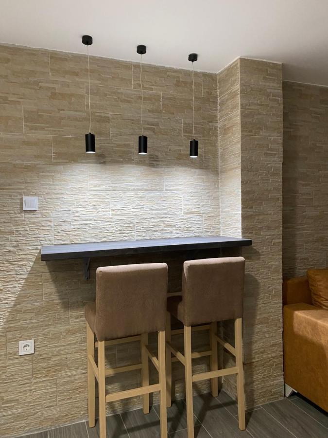 Vucinic Studio Apartment Cetinje Extérieur photo