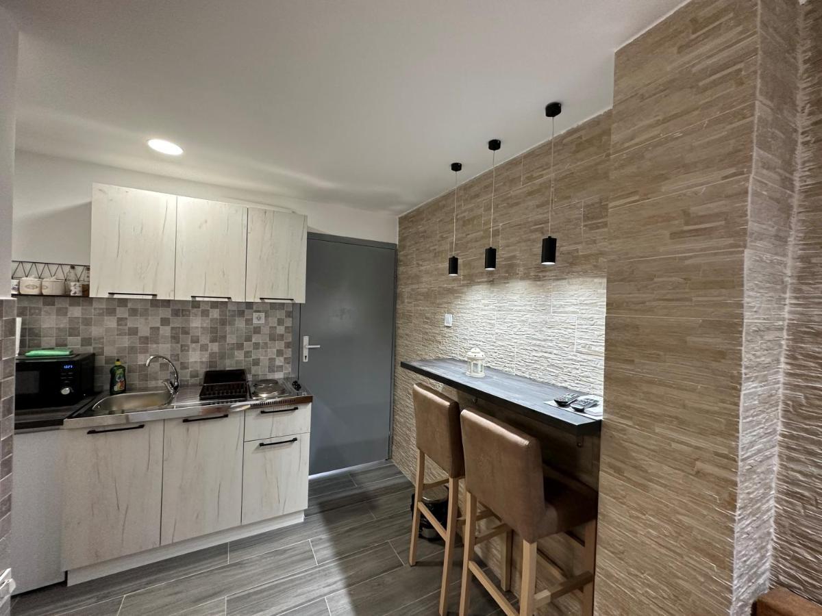 Vucinic Studio Apartment Cetinje Extérieur photo